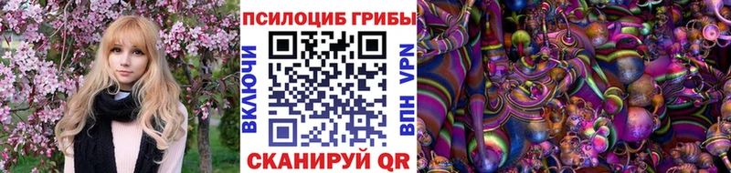 Псилоцибиновые грибы мицелий  Истра 