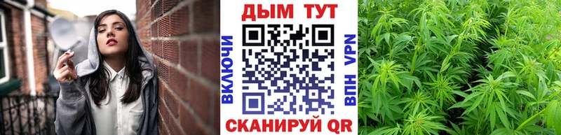 Канабис конопля  купить наркотики сайты  Истра 